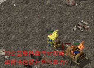 70�������Ѫ���湥�ԣ���ο���������ɫʵ����
