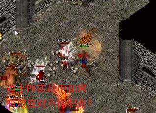 ��ʿPKʵս�������ЧӦ�Բ�ְͬҵ��
