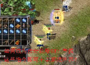 ��γ�Ϊ����˽��GM��������Щָ���������Ϸ���磿