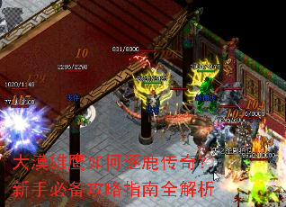 ��Į��ӥ�����¹���棿���ֱر�����ָ��ȫ����
