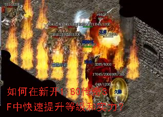������¿�1.80����SF�п��������ȼ���ʵ����