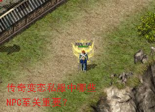 传奇变态私服中哪些NPC至关重要? 传奇变态私服中哪些NPC至关重要?