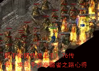������ο�������1.76���棿����ַ�������֮·�ĵ�