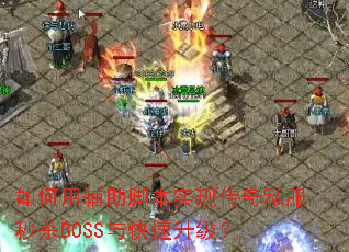 ����ø����ű�ʵ�ִ���˽����ɱBOSS�����������