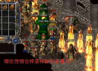 哪些怪物会掉落神秘的圣魔石? 哪些怪物会掉落神秘的圣魔石?