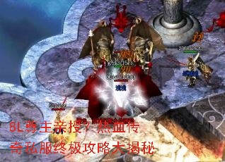 8L�������ڣ���Ѫ����˽���ռ����Դ����