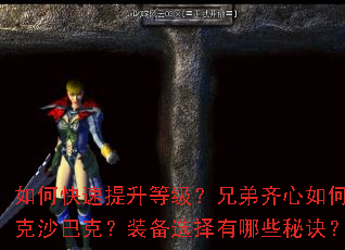 如何快速提升等级?兄弟齐心如何攻克沙巴克?装备选择有哪些秘诀? 如何快速提升等级?兄弟齐心如何攻克沙巴克?装备选择有哪些秘诀?