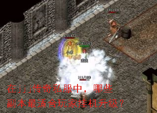 在jjj传奇私服中,哪些副本最适合玩家挂机升级? 在jjj传奇私服中,哪些副本最适合玩家挂机升级?