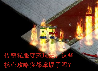 ����˽����̬�淨����Щ���Ĺ����㶼��������