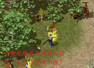 传奇私服发布网眼花缭乱,新手该选哪个服? 传奇私服发布网眼花缭乱,新手该选哪个服?