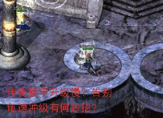 传奇新手升级慢?告别龟速冲级有何妙招? 传奇新手升级慢?告别龟速冲级有何妙招?