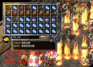 ��ʦ��ʿˢ�����Ĭ�����Ч����󻯣�