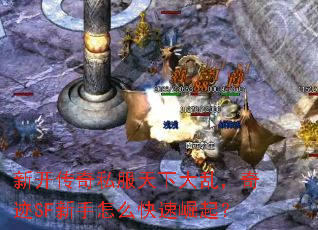 新开传奇私服天下大乱,奇迹SF新手怎么快速崛起? 新开传奇私服天下大乱,奇迹SF新手怎么快速崛起?