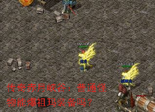 传奇赤月峡谷:普通怪物能爆祖玛装备吗? 传奇赤月峡谷:普通怪物能爆祖玛装备吗?