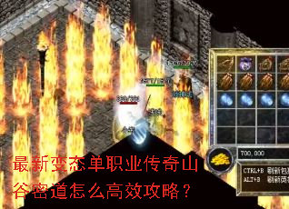 最新变态单职业传奇山谷密道怎么高效攻略? 最新变态单职业传奇山谷密道怎么高效攻略?