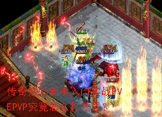 ���淨ʦ��������ʵսPVEPVP������ô���ǿ��