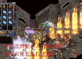 ���淨ʦ��������ʵսPVEPVP������ô���ǿ��