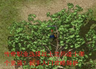 传奇职业选择战士法师道士哪个更强?新手入门攻略解析 传奇职业选择战士法师道士哪个更强?新手入门攻略解析