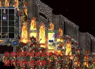 传奇世界树妖如何快速打怪升级攻略? 传奇世界树妖如何快速打怪升级攻略?
