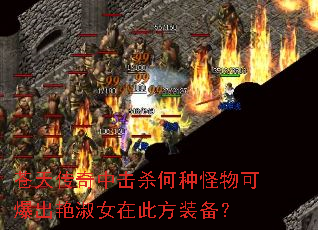 苍天传奇中击杀何种怪物可爆出艳淑女在此方装备? 苍天传奇中击杀何种怪物可爆出艳淑女在此方装备?