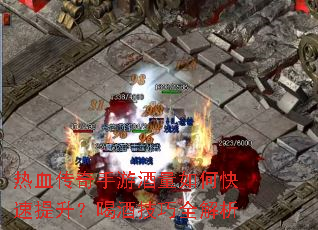 热血传奇手游酒量如何快速提升?喝酒技巧全解析 热血传奇手游酒量如何快速提升?喝酒技巧全解析