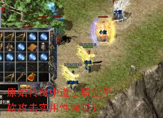 原始传奇中道士职业平砍攻击实用性强吗? 原始传奇中道士职业平砍攻击实用性强吗?
