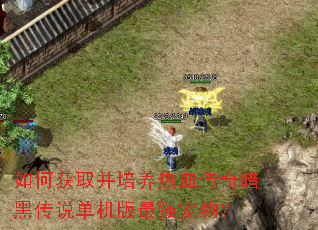 ��λ�ȡ��������Ѫ���氵�ڴ�˵��������ǿ���