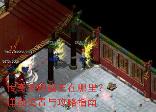 ����๳è���������ϸλ���빥��ָ��