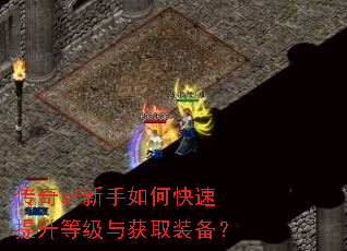 传奇sf新手如何快速提升等级与获取装备? 传奇sf新手如何快速提升等级与获取装备?