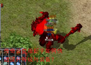 传奇公益服新手如何快速提升等级与装备? 传奇公益服新手如何快速提升等级与装备?