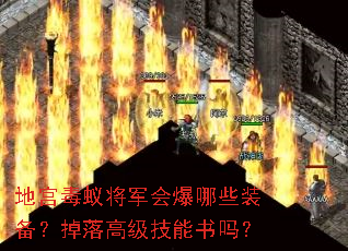 地宫毒蚁将军会爆哪些装备?掉落高级技能书吗? 地宫毒蚁将军会爆哪些装备?掉落高级技能书吗?