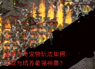 ��ӹ��������淨��λ�ȡ��������ǿ���ޣ�