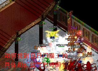 如何找到白日门猫王的具体刷新位置与时间? 如何找到白日门猫王的具体刷新位置与时间?