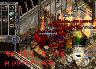 传奇法师除了虎卫还能召唤哪些强力宝宝? 传奇法师除了虎卫还能召唤哪些强力宝宝?