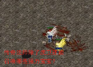 传奇法师除了虎卫还能召唤哪些强力宝宝? 传奇法师除了虎卫还能召唤哪些强力宝宝?