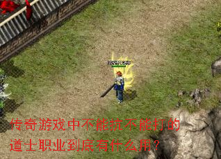 传奇游戏中不能抗不能打的道士职业到底有什么用? 传奇游戏中不能抗不能打的道士职业到底有什么用?