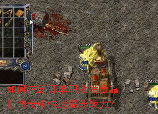 ������¿���ְҵ���޿������п�������ս����