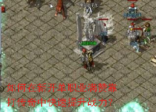 ������¿���ְҵ���޿������п�������ս����