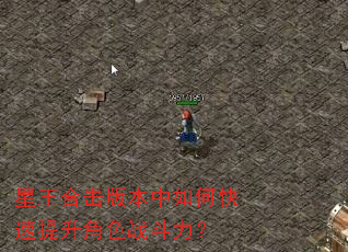 星王合击版本中如何快速提升角色战斗力? 星王合击版本中如何快速提升角色战斗力?