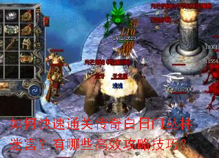 如何快速通关传奇白日门丛林迷宫?有哪些高效攻略技巧? 如何快速通关传奇白日门丛林迷宫?有哪些高效攻略技巧?