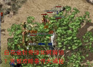 白花金针奇缘如何解锁?完整攻略条件大揭秘 白花金针奇缘如何解锁?完整攻略条件大揭秘