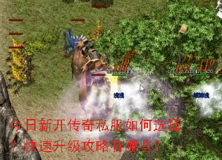 �����¿�����˽�����ѡ�񣿿���������������Щ��