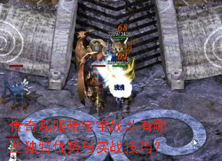 传奇私服带宝宝战斗有哪些独特优势与实战技巧? 传奇私服带宝宝战斗有哪些独特优势与实战技巧?