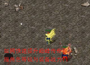 如何快速提升巅峰传奇私服角色等级与装备战力? 如何快速提升巅峰传奇私服角色等级与装备战力?