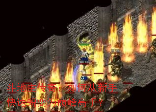 斗地主传奇:如何从新手快速蜕变为巅峰高手? 斗地主传奇:如何从新手快速蜕变为巅峰高手?