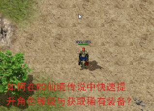 如何在RO仙境传说中快速提升角色等级与获取稀有装备? 如何在RO仙境传说中快速提升角色等级与获取稀有装备?