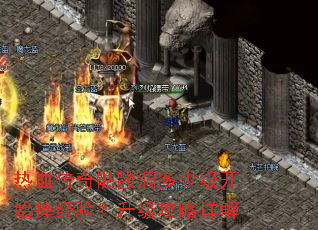 ��Ѫ�������ö����ټ���ʼ�����飿�����������