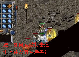 ��ʦ�����Ч�����ʿ���弰���ٻ��ޣ�