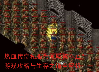 热血传奇私服为何屡禁不止?游戏攻略与生存之道全解析 热血传奇私服为何屡禁不止?游戏攻略与生存之道全解析