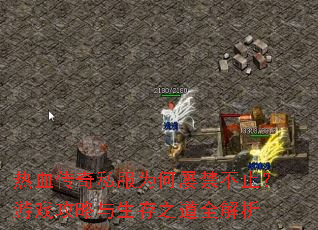 热血传奇私服为何屡禁不止?游戏攻略与生存之道全解析 热血传奇私服为何屡禁不止?游戏攻略与生存之道全解析